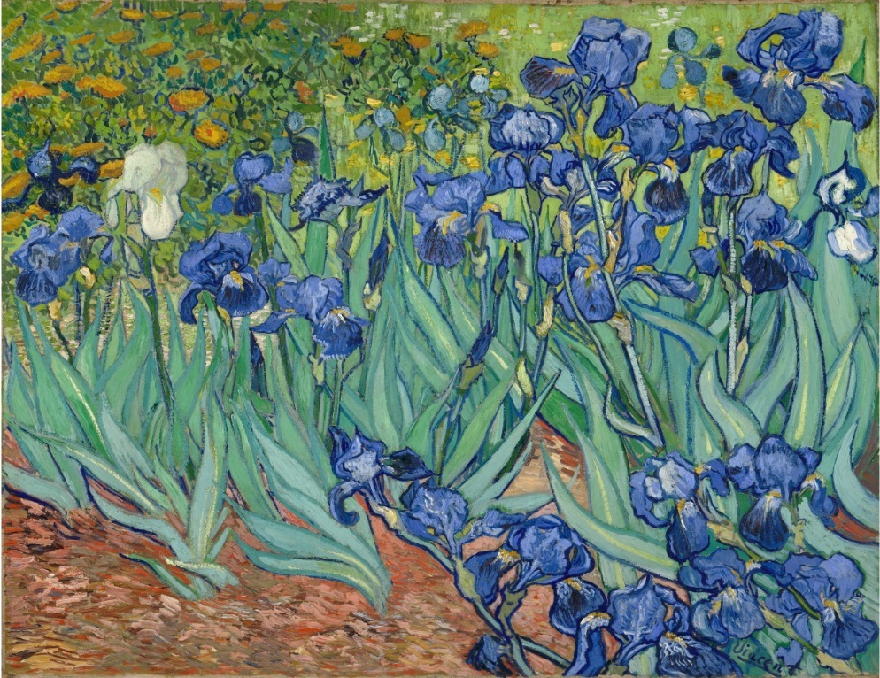 Irises 1889